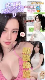 台南約炮-蘇糖糖
